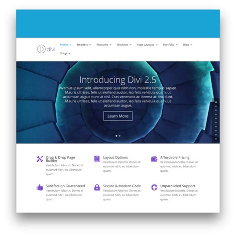 Divi Layouts by Elegant Themes.
